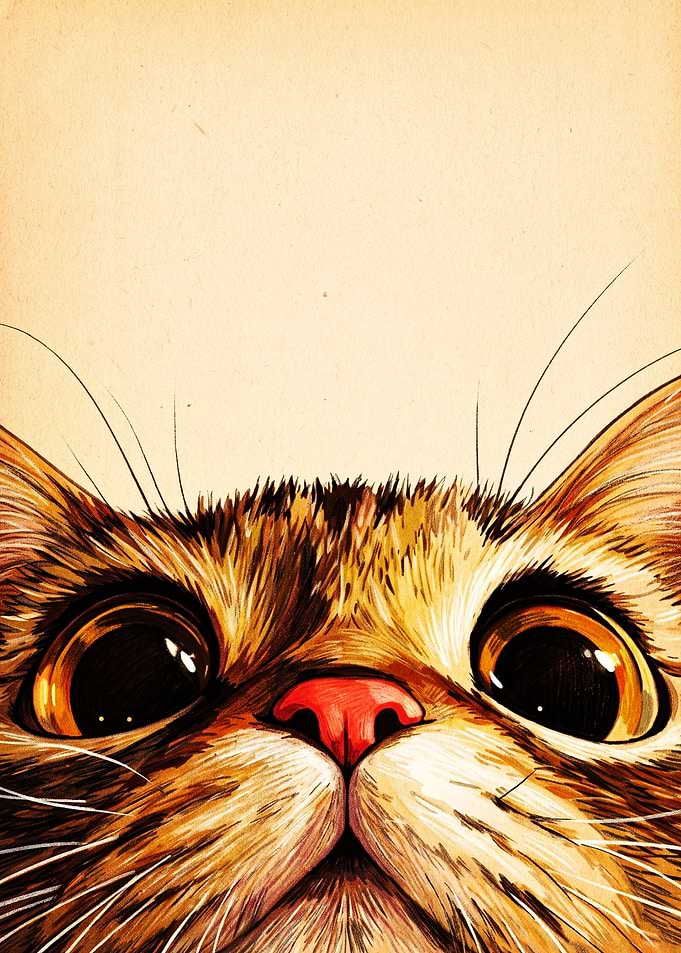 Close-up Portrait of a Cute Cat