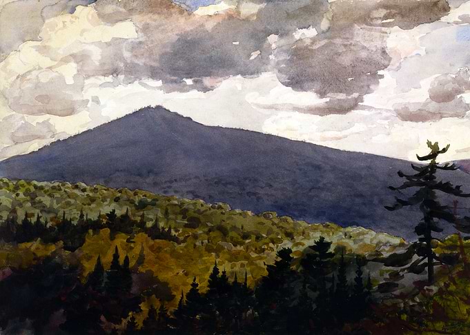 Burnt Mountain in the Adirondack Mountains Painting by Winslow Homer