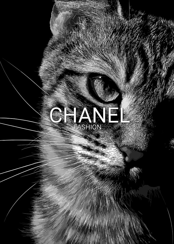 Chanel Fashion Cat Portrait