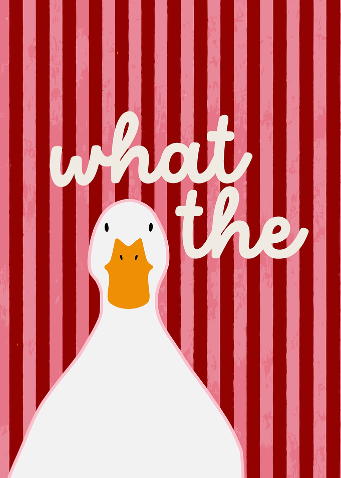 Funny Duck What The Poster