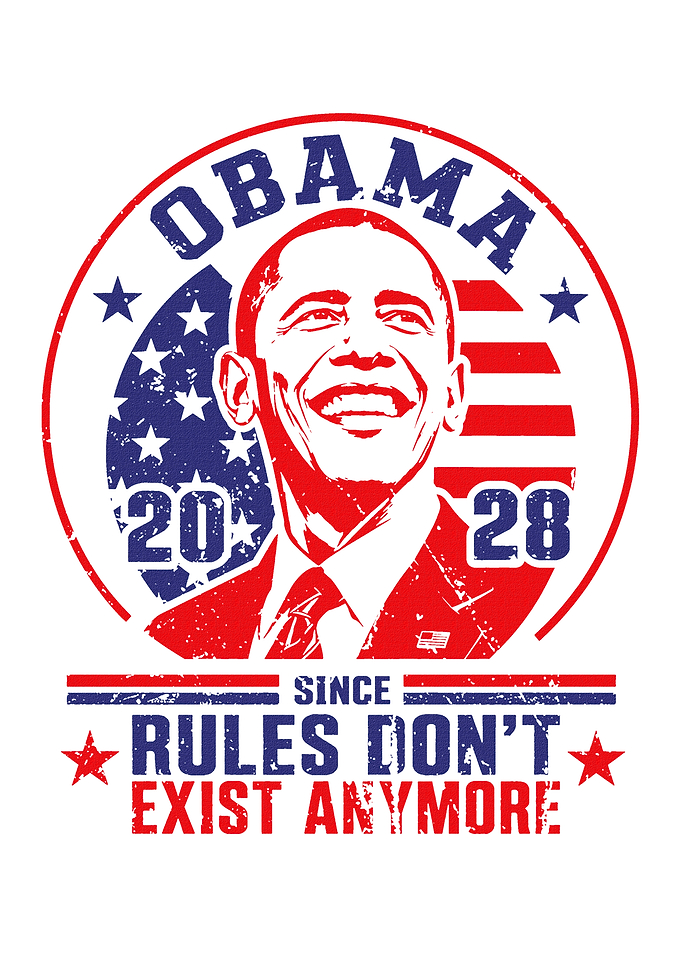 Obama 2028 Political Parody Graphic