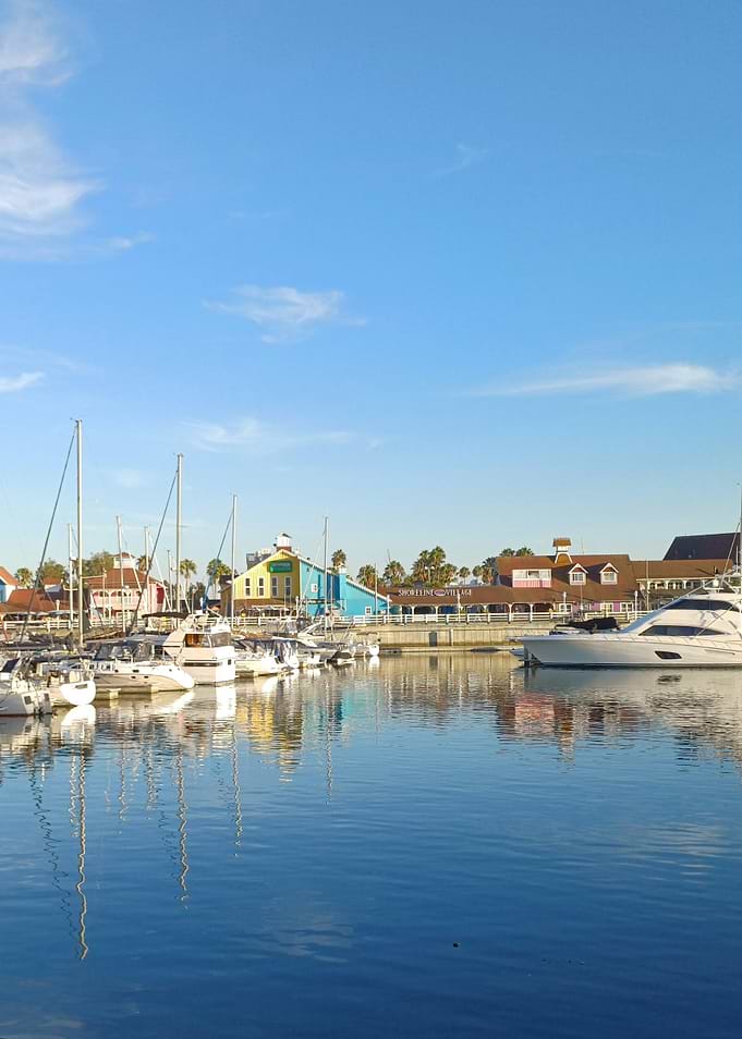 Sunny Marina Harbor Scene