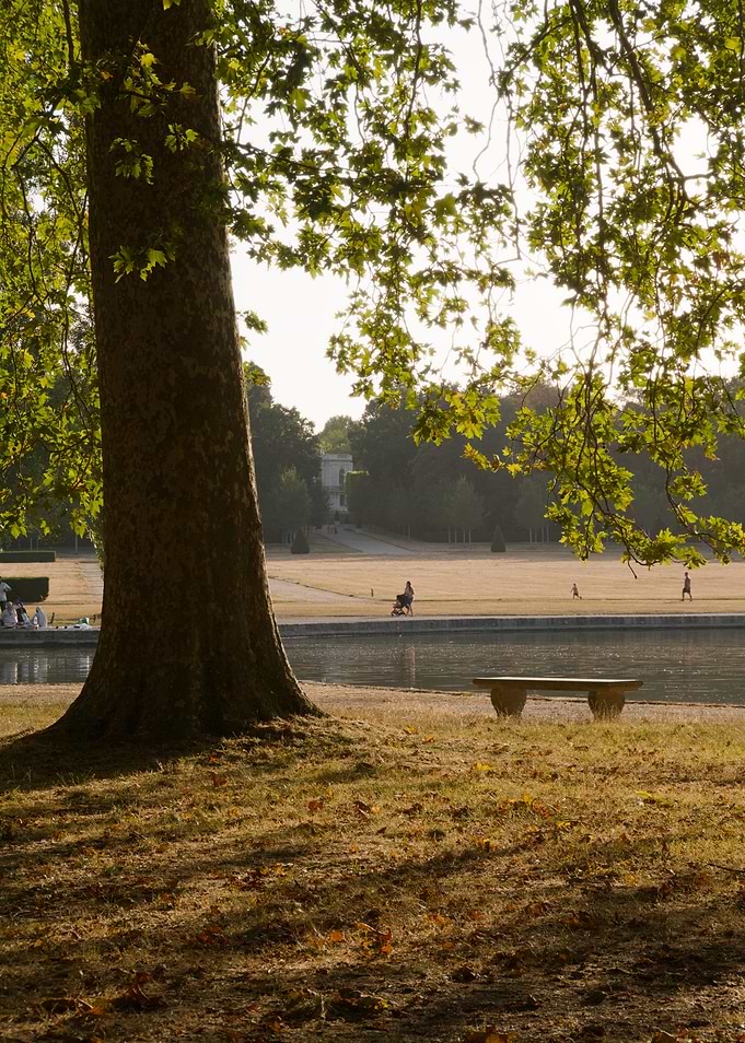 'Vision' Parc de Sceaux - Peaceful Park Scene with Pond