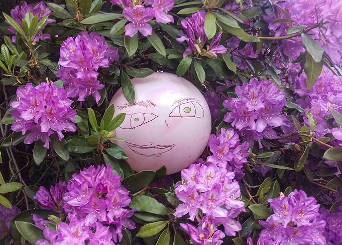 Secret Garden Companion: Drawn Face on Balloon in Rhododendrons