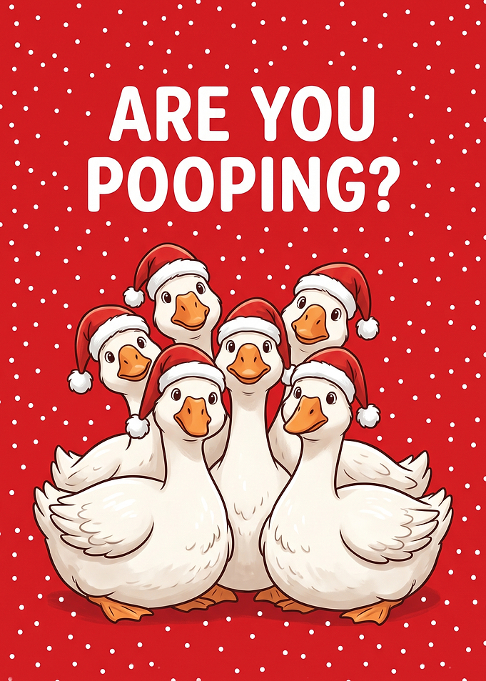 Funny Christmas Geese ducks are you pooping Poster