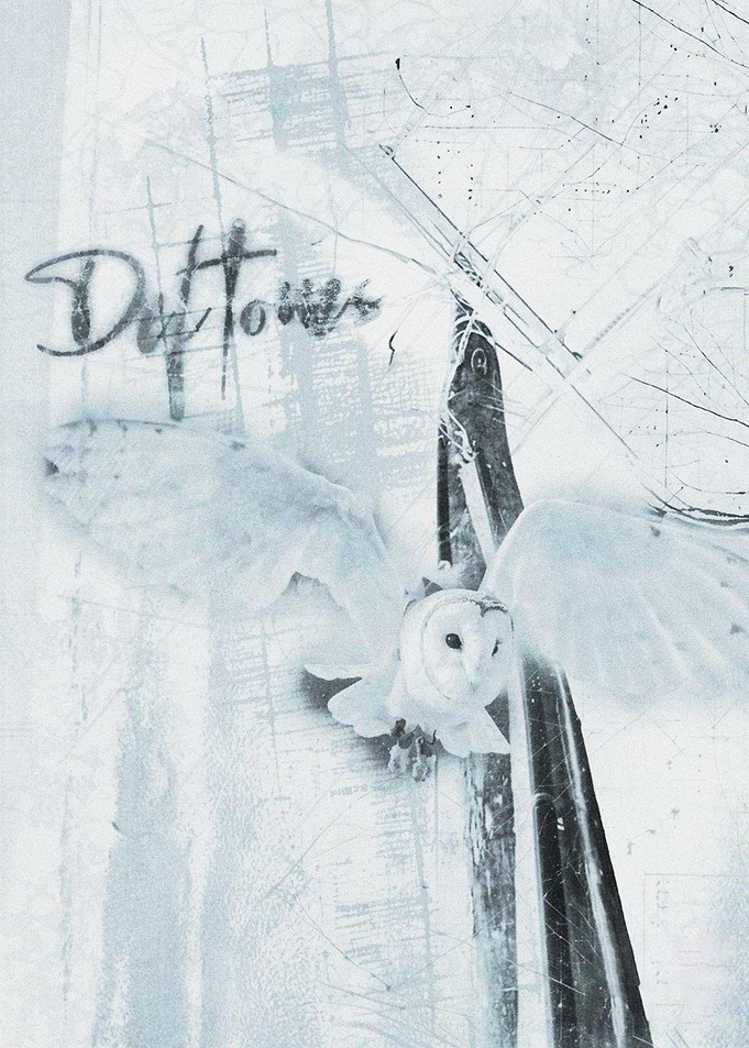 Barn Owl with Text Art