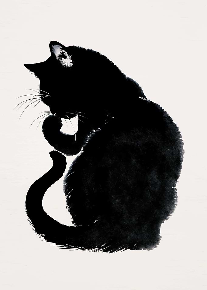 Minimalist Ink Wash Black Cat
