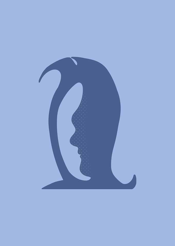 Penguin and Human Face Optical Illusion