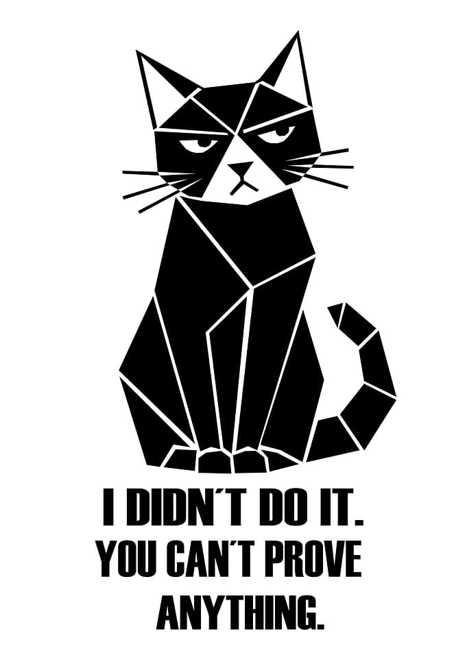 Geometric Grumpy Cat Quote Poster