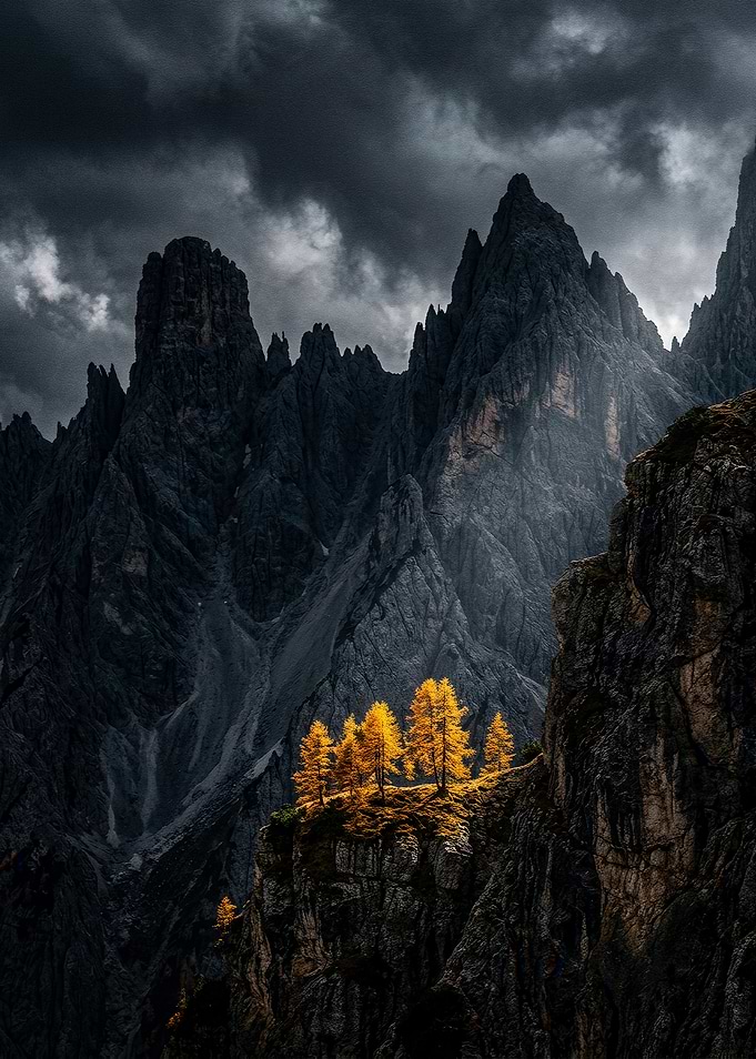 Golden Trees Against Dark Mountains