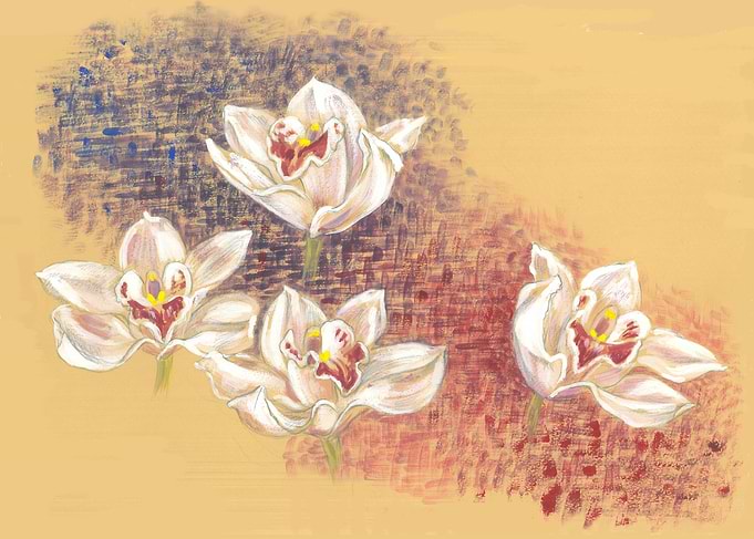 Pastel Drawing of Four Orchids