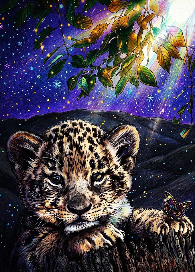 Baby Leopard with Butterfly Under Stars