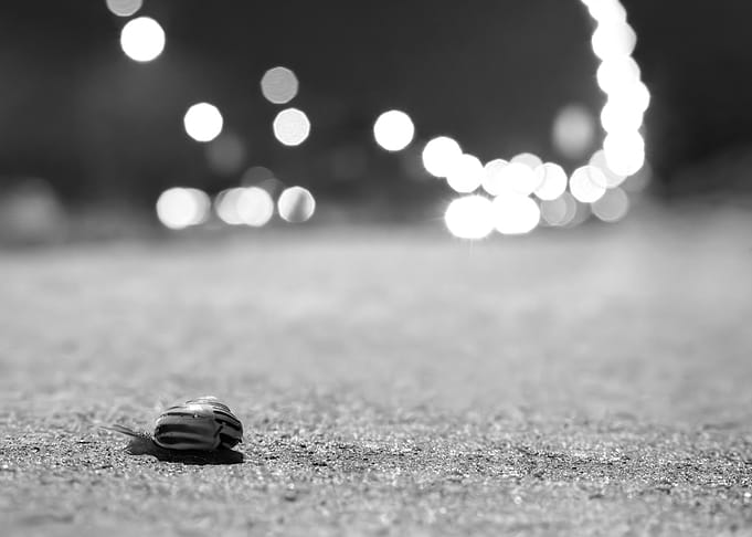 My Own Road - Black and White Minimal