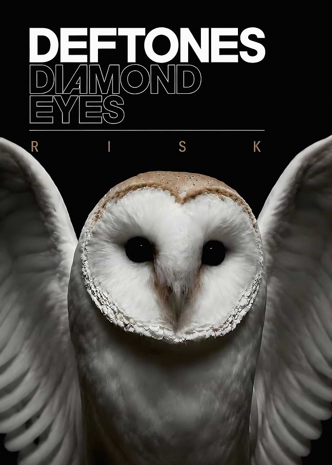 Deftones Diamond Eyes Owl Poster