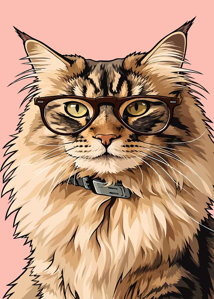 Maine Coon Cat Wearing Glasses