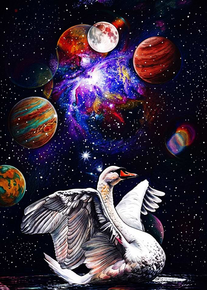 Cosmic Swan in Deep Space