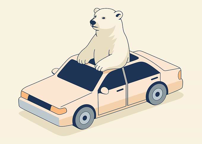 Polar Bear Riding in a Car