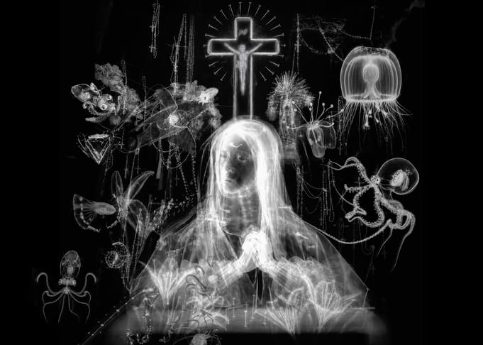 Phantoms of Mariana