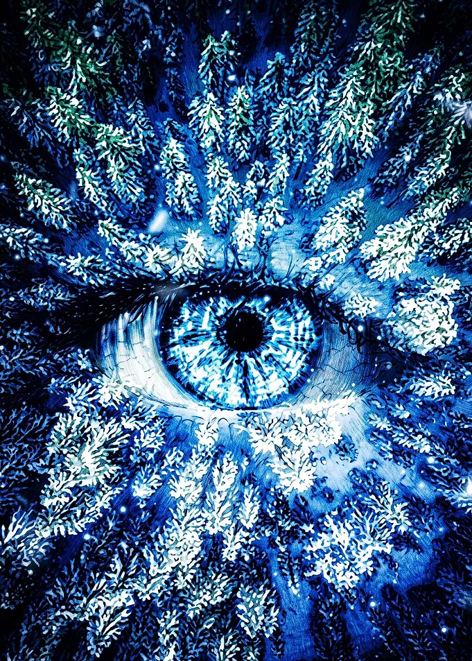Surreal Eye Formed by Winter Forest