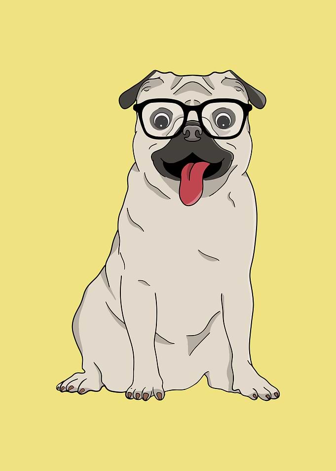Cute Pug Wearing Glasses Illustration