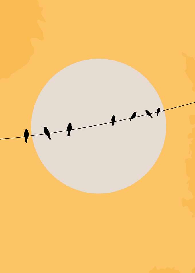 Minimalist Birds on a Wire