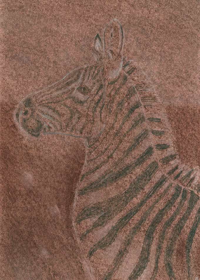 Zebra's Dream