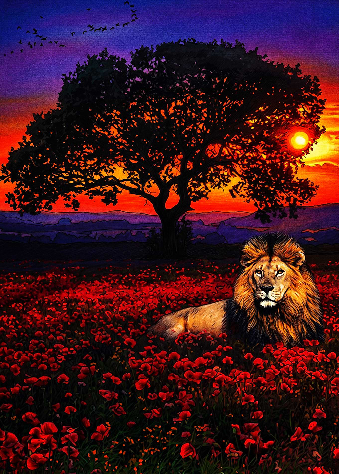 Lion Resting in Poppy Field