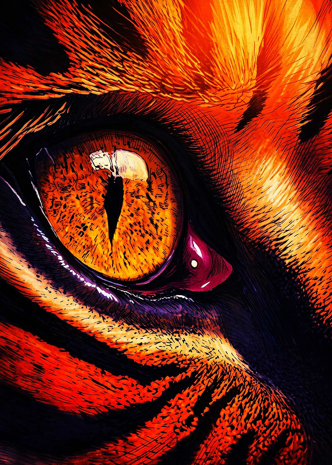 Intense Close-up Tiger Eye Portrait