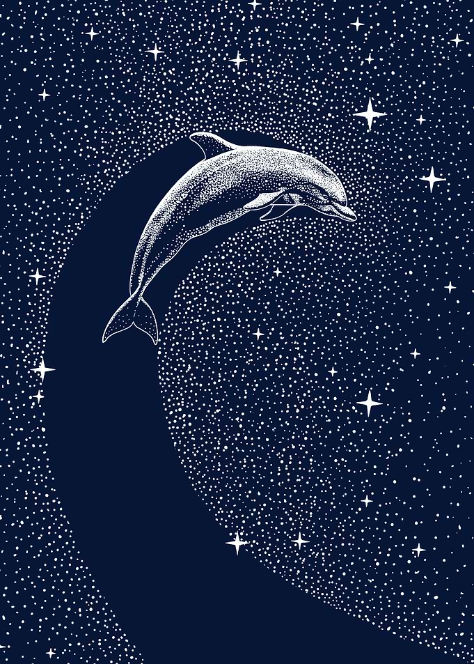 Starry Dolphin