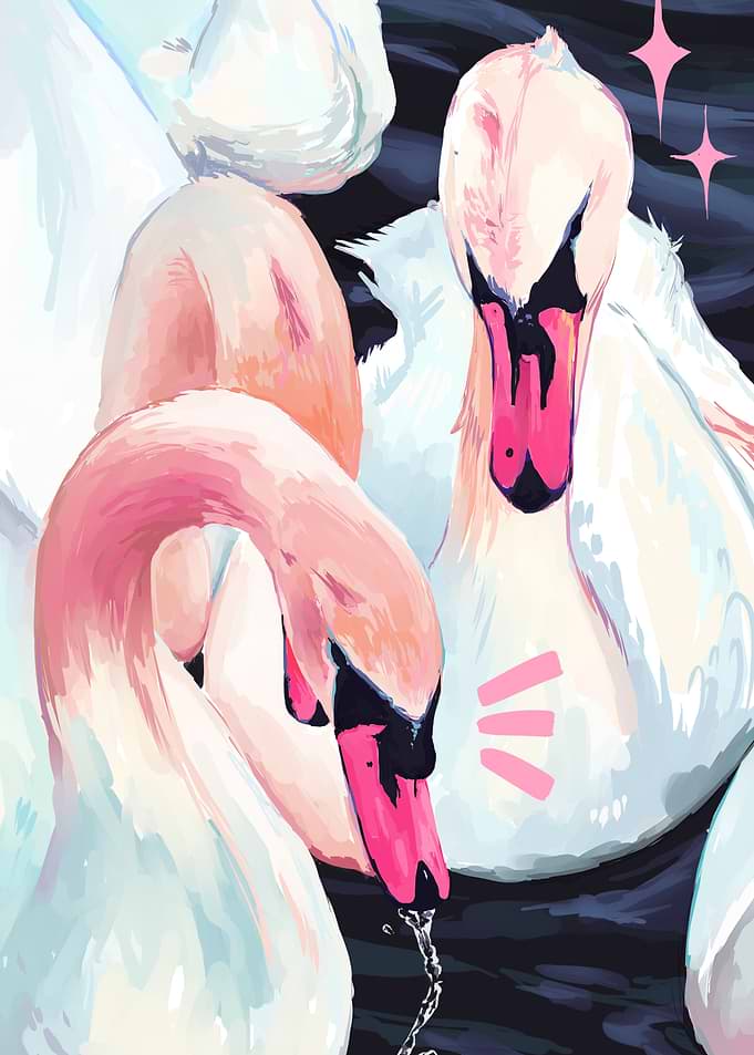 Ethereal Swans