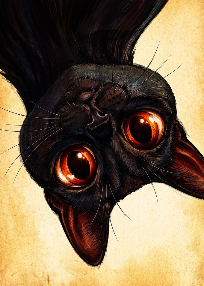 Upside Down Black Cat Portrait