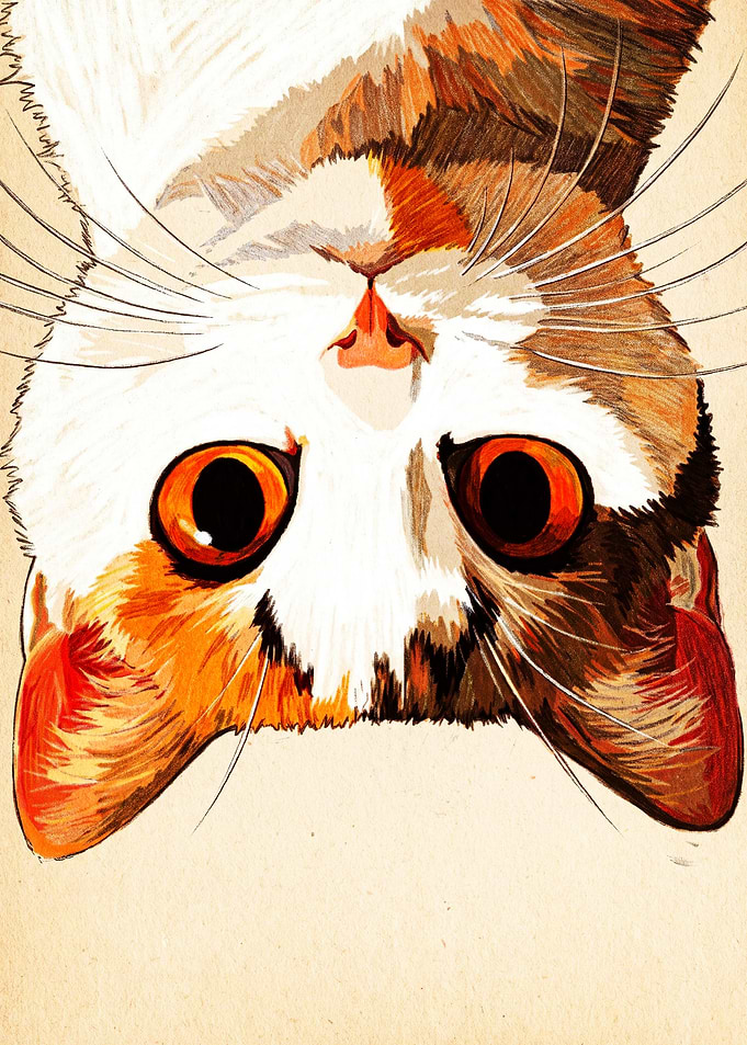 Upside Down Calico Cat Portrait