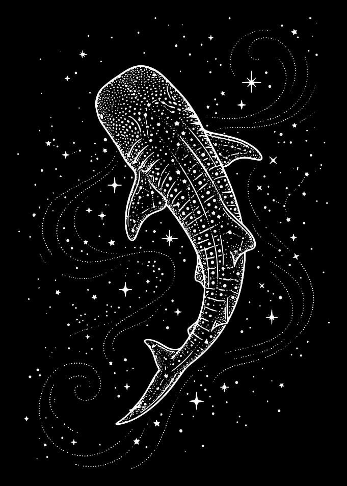 Celestial Whale Shark Illustration