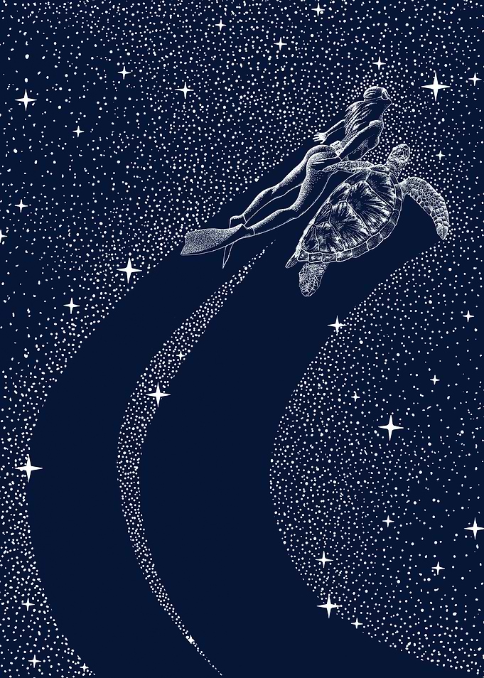 Starry Turtle And Diver