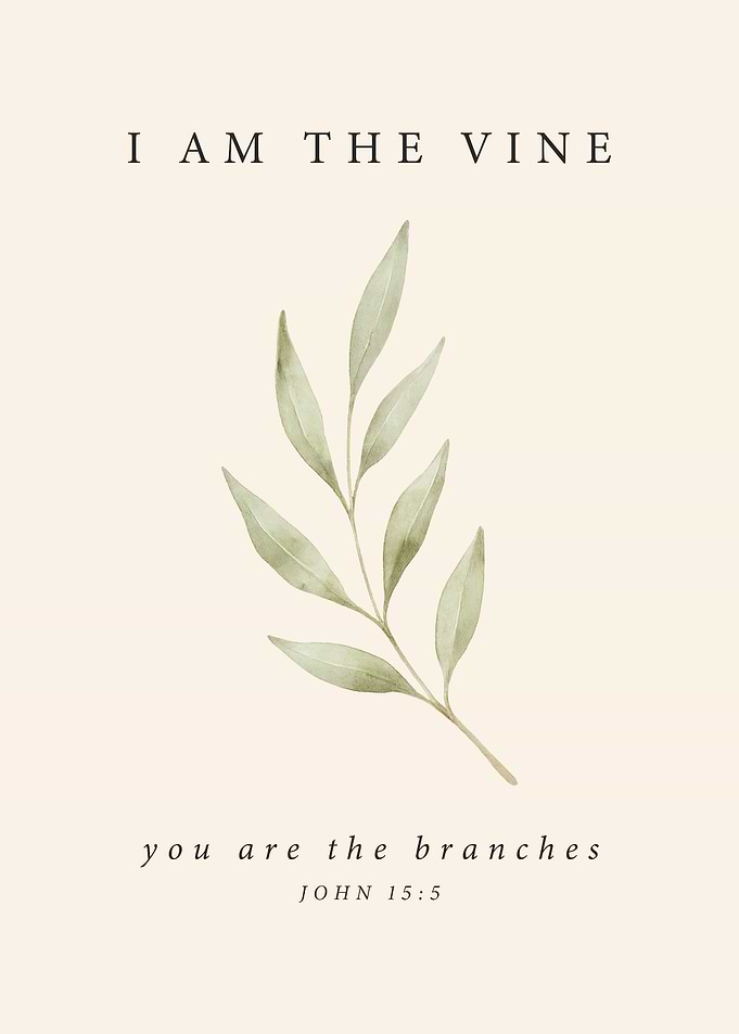 I Am The Vine Poster - You Are The Branches Print, John 15:5 Print