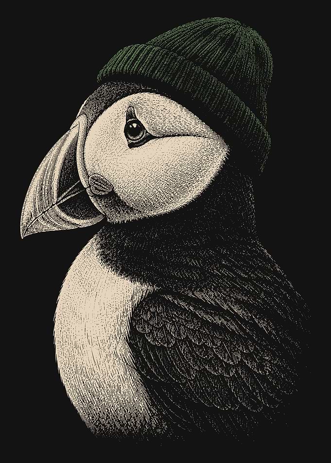 Puffin Wearing a Green Beanie
