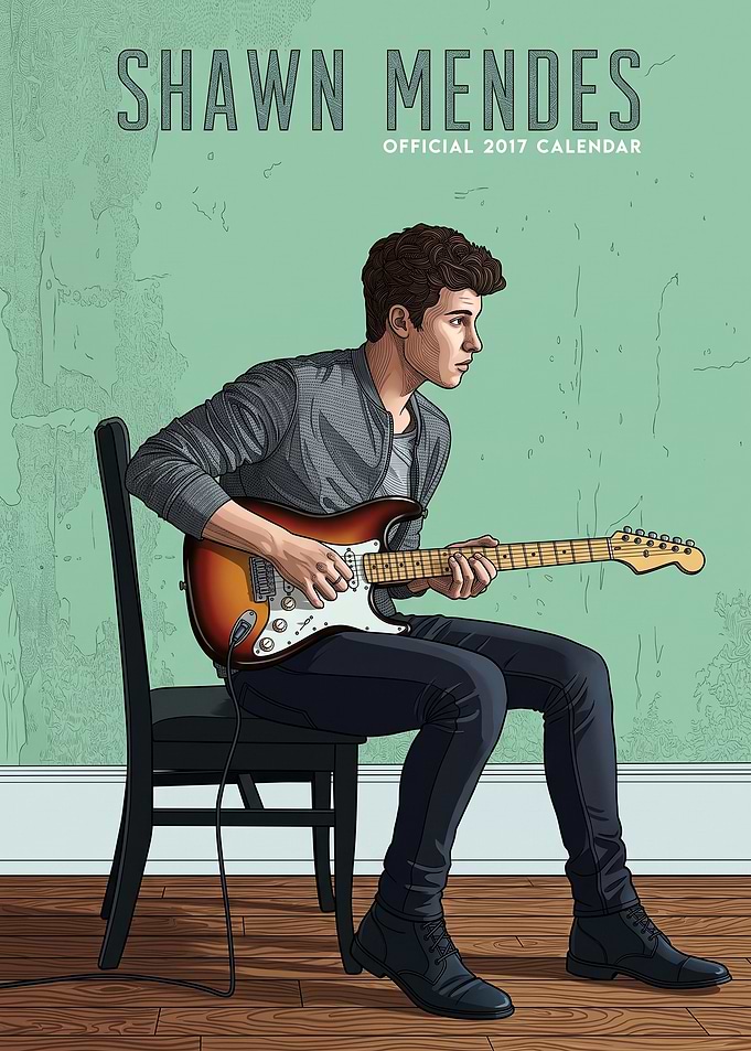 Shawn Mendes Illustration Poster
