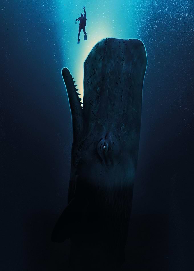 Diver Encountering a Giant Sperm Whale