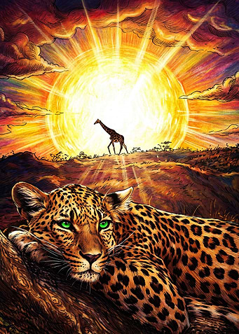 Leopard Resting at African Sunset
