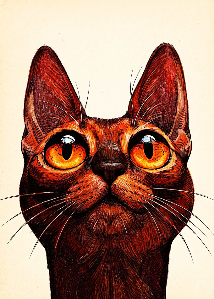 Portrait of a Red Cat