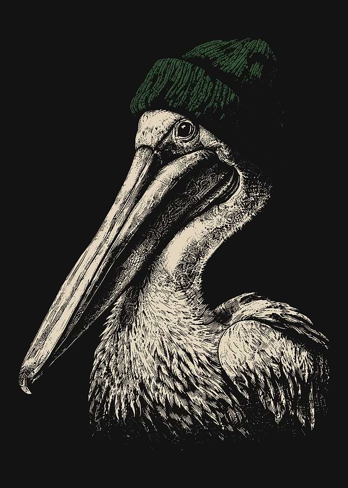 Pelican Wearing a Green Beanie