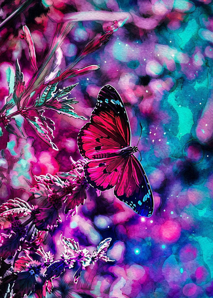 Vibrant Pink Butterfly in Dreamy Garden