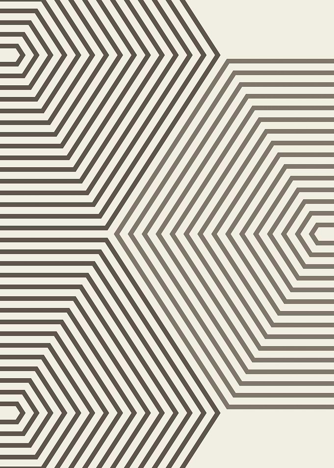 Minimalist Geometric Hexagonal Line Art