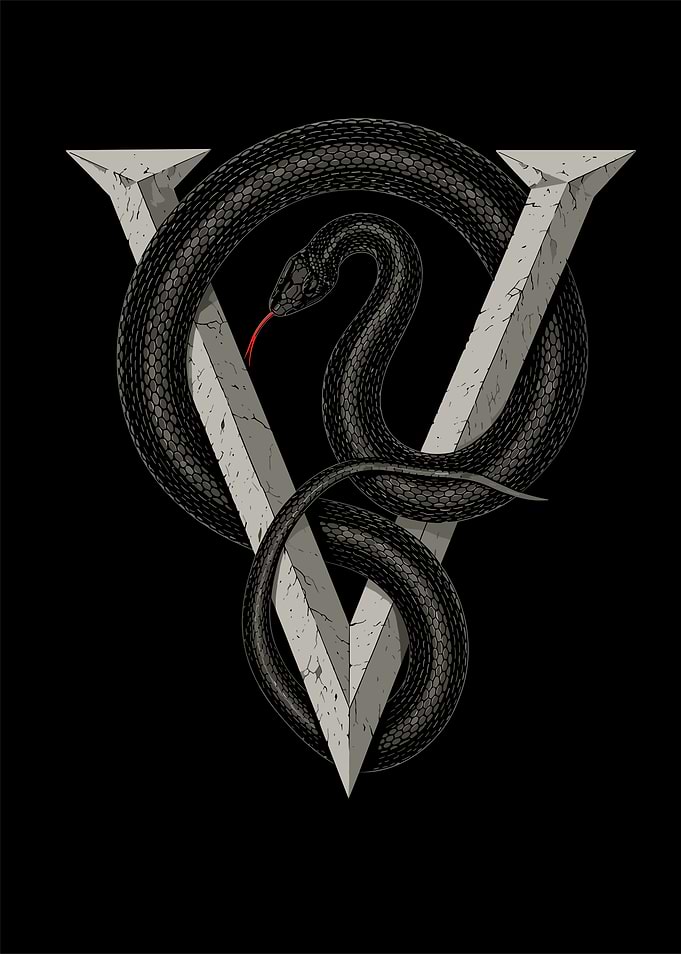 Black Snake Coiled Around Stone V