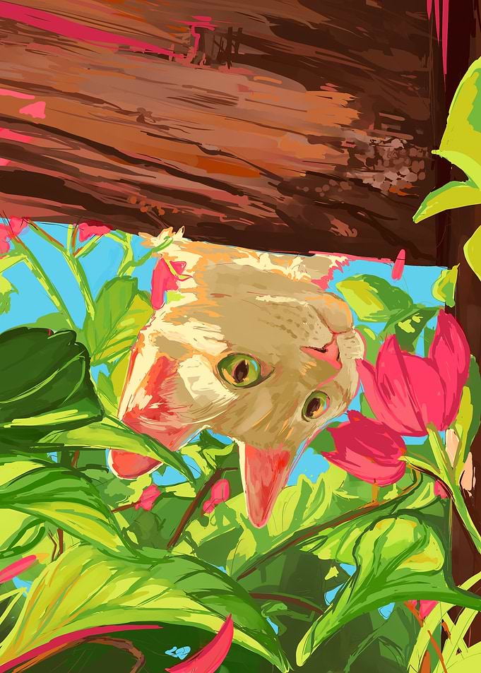 Springtime for Kittens