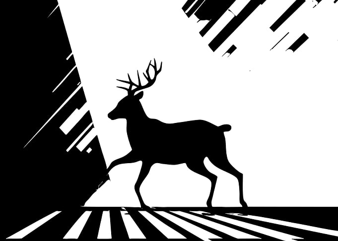 Minimalist Black and White Deer Silhouette