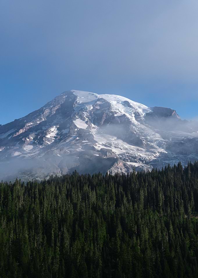 Mount Rainier above the forest