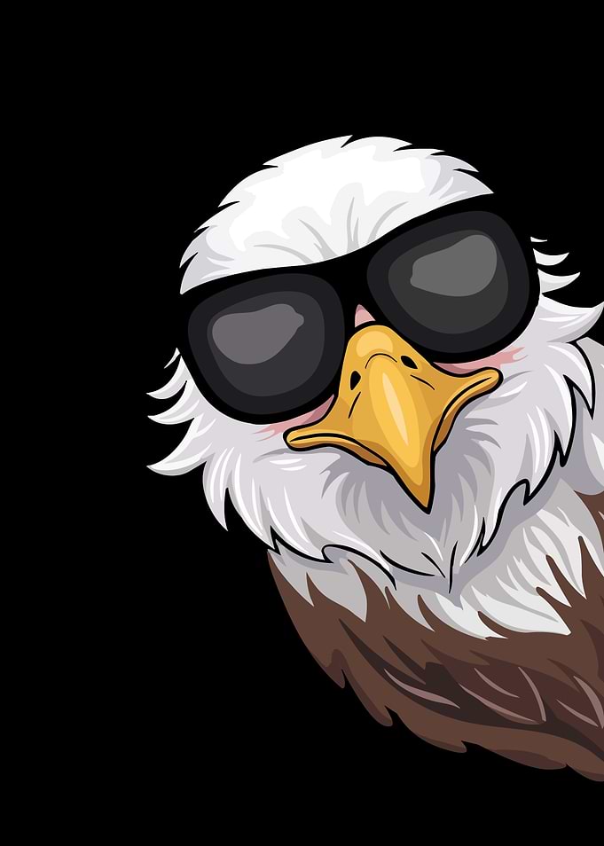 Cool Bald Eagle Wearing Sunglasses