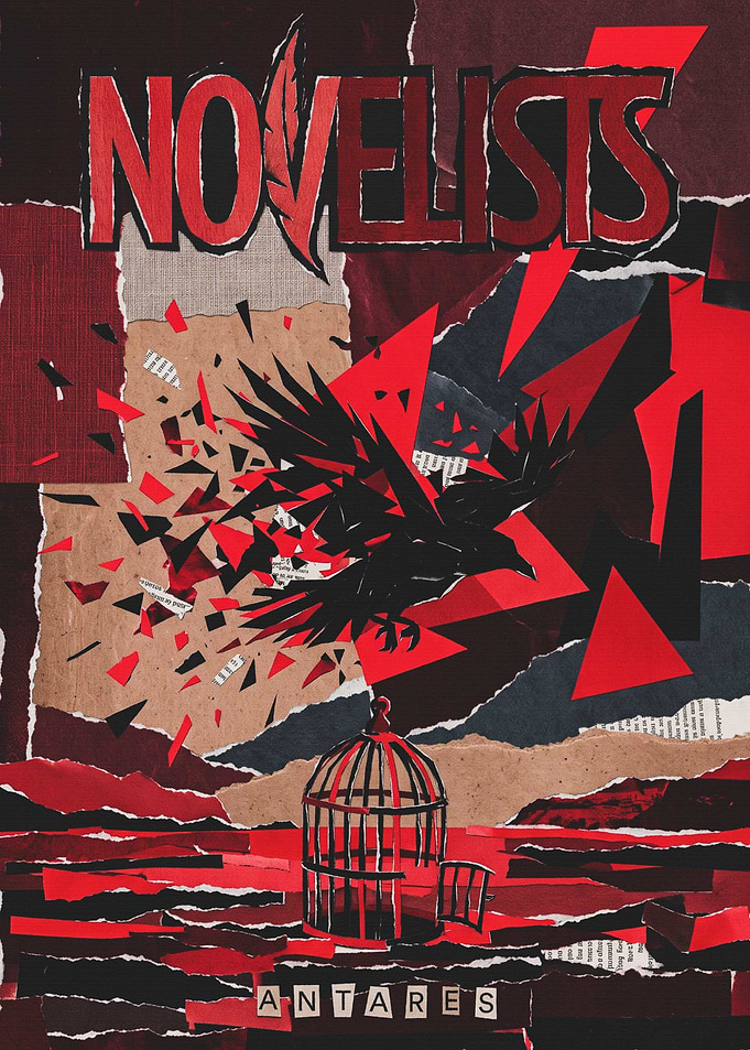 Novelists Album Art