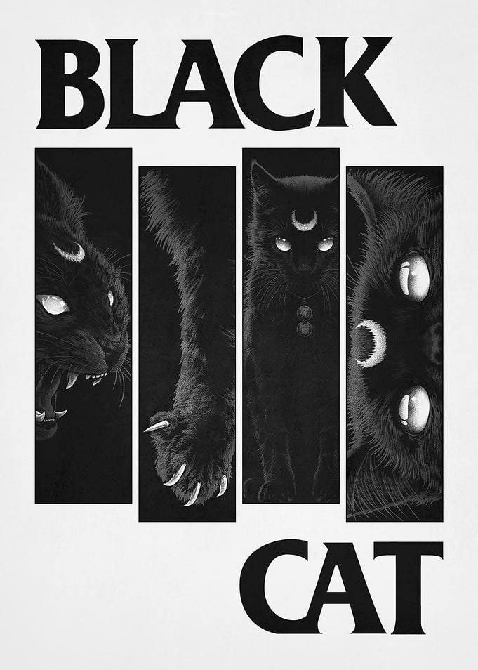 Black Cat Punk